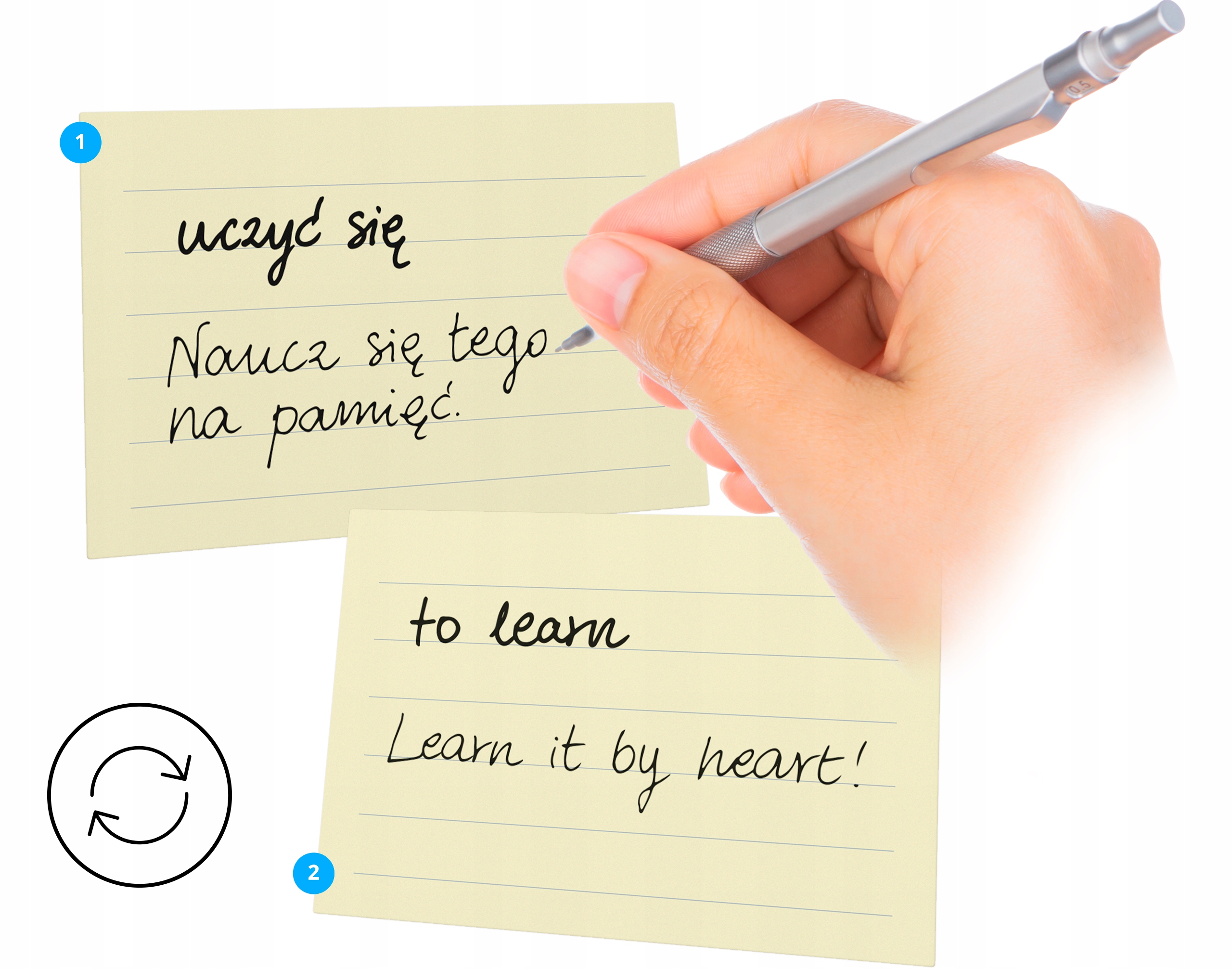 MEMOBOX CROCO ORANGE – plastikowe pudełko do nauki z fiszek Język publikacji angielski