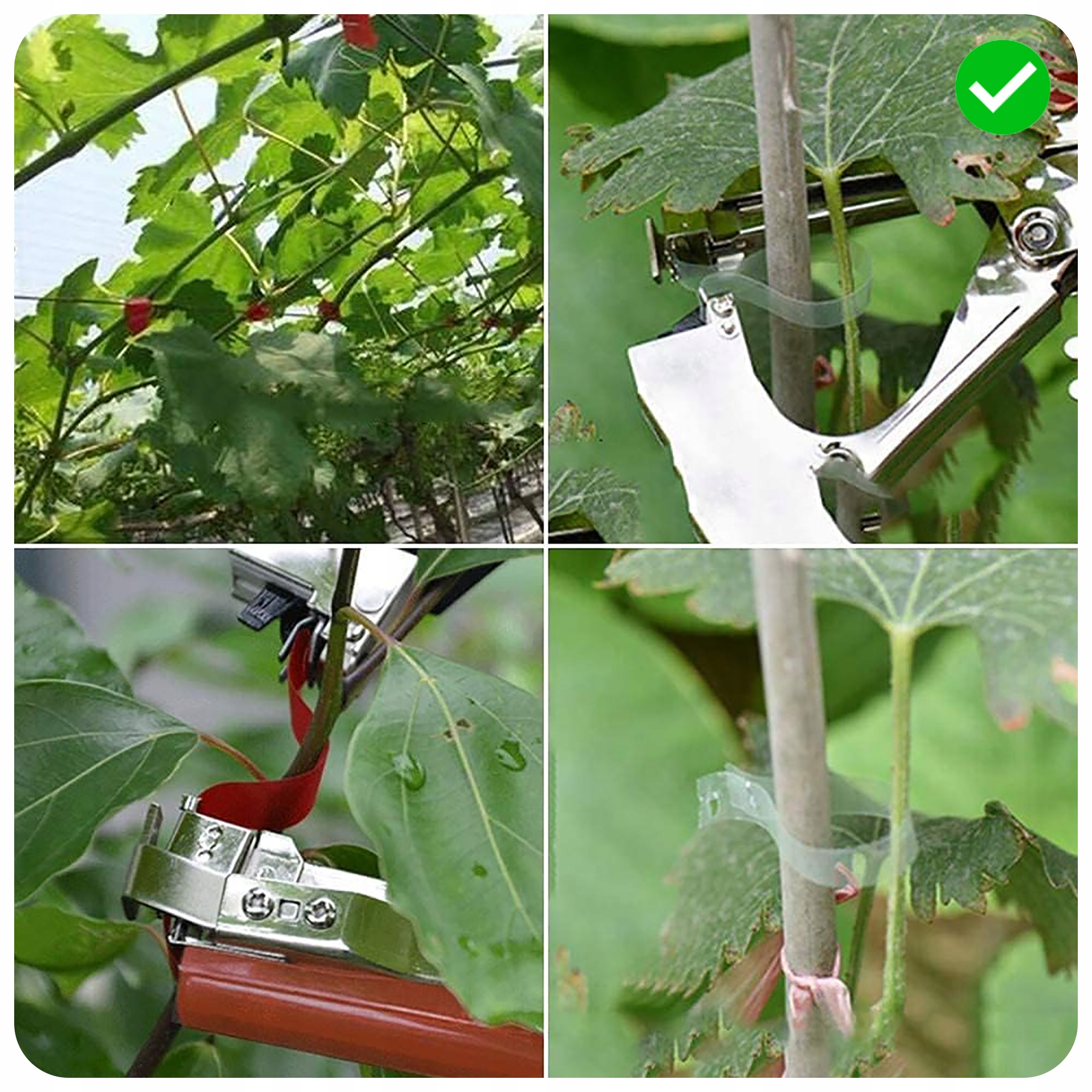 NARZĘDZIE DO PODWIĄZANIA ROŚLIN DO WINOGRON MALIN POMIDORÓW WARZYW ZESTAW Marka inna