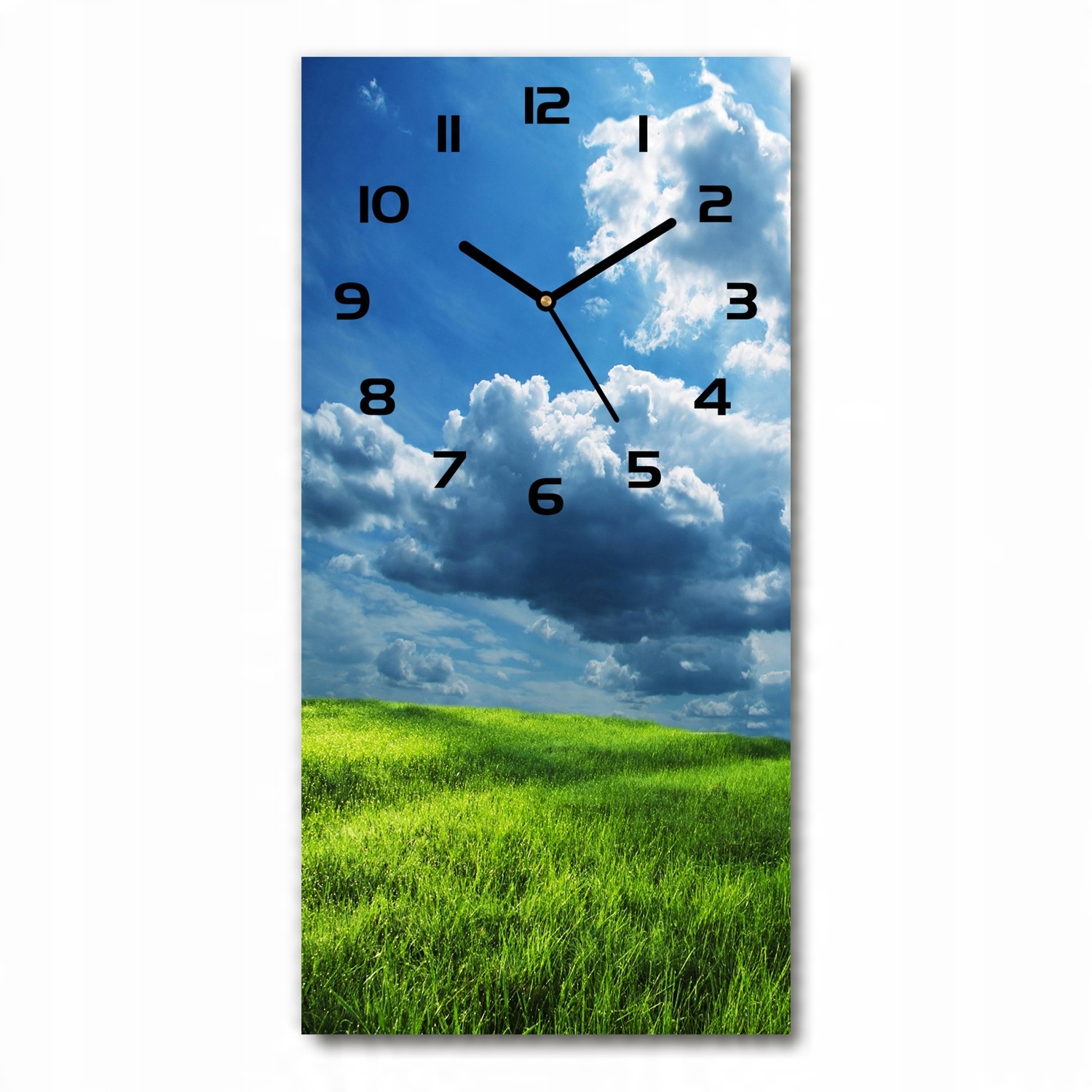 

Zegar ścienny cichy Chmury nad polem 30x60 pionowy