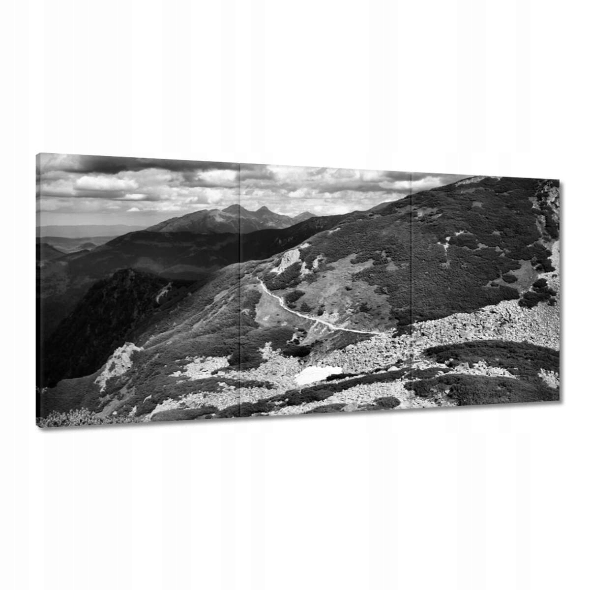 Obrazy 120x60 Tatry Polské hory Pohled