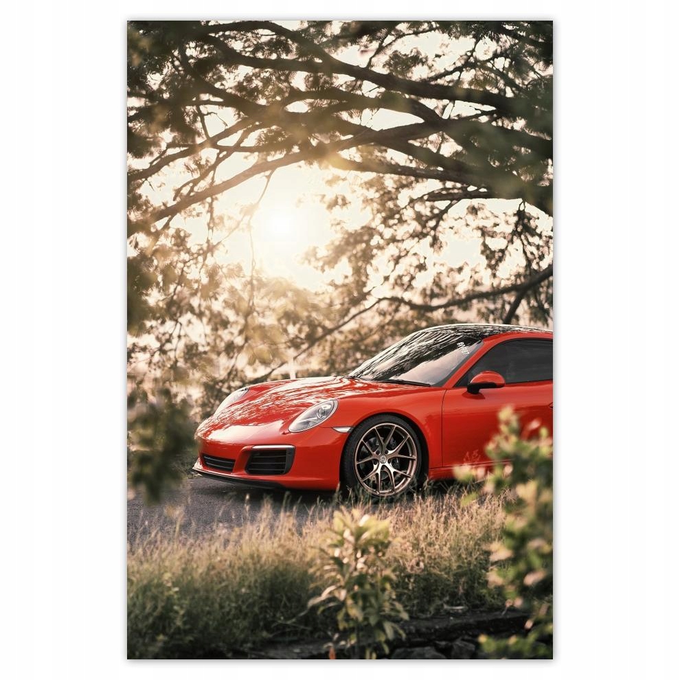 

Plakaty 40x60 Auto Samochód Fura Sport