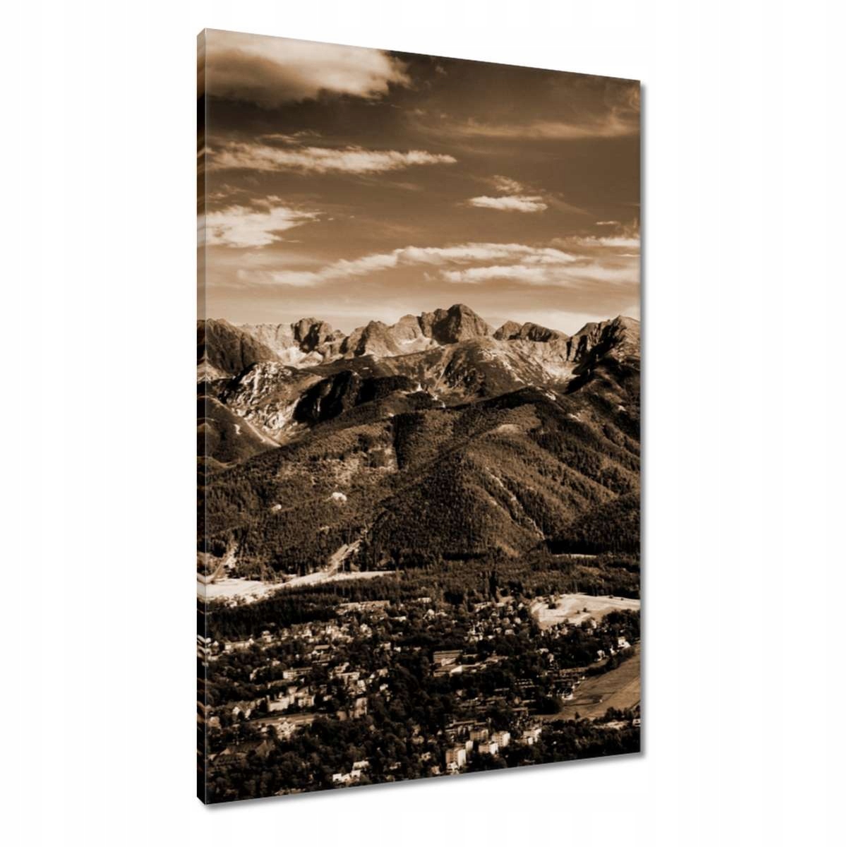 Obrazy 60x90 Tatry Polské hory Pohled