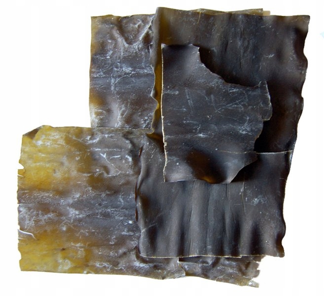 

Glony Algi Kombu Konbu suszone 100g