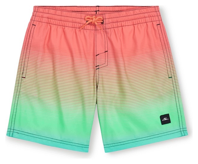 Dětské šortky O'neill Jack Cali Gradient vícebarevné vel.