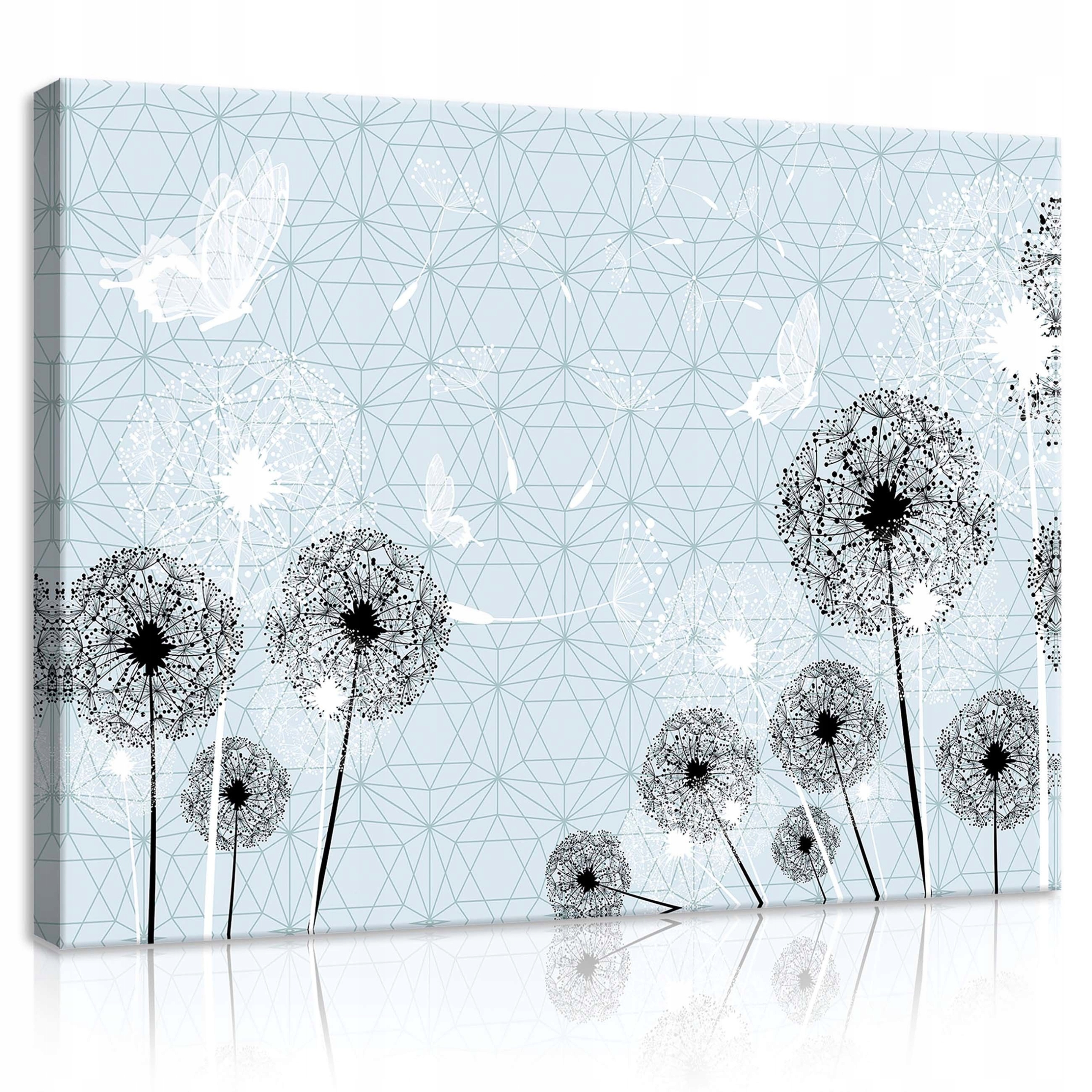 Obraz 70x50 Pampelišky motýli semena lehkost jaro léto geometrie abstrakce