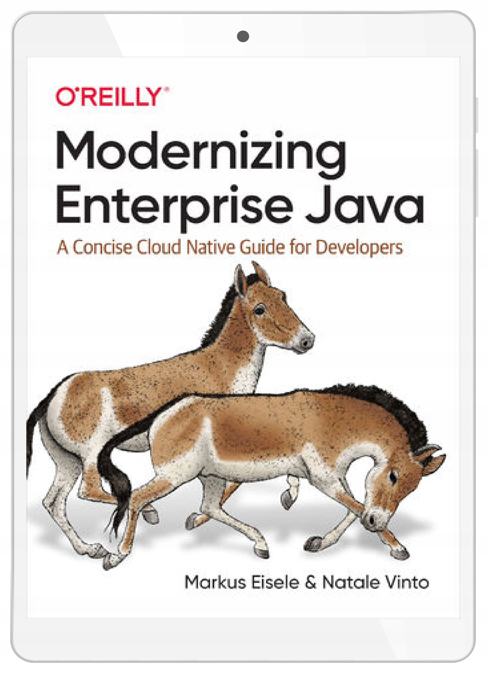 Modernizing Enterprise Java