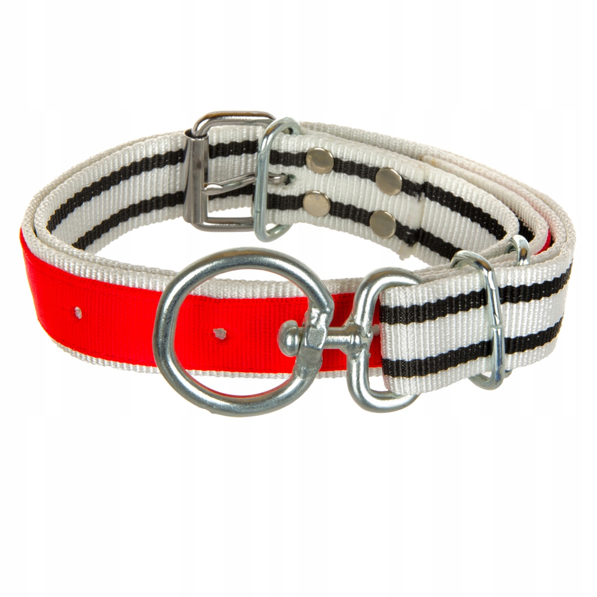 

Pas obroża dla bydła młoda krowa jałówka 40x130cm