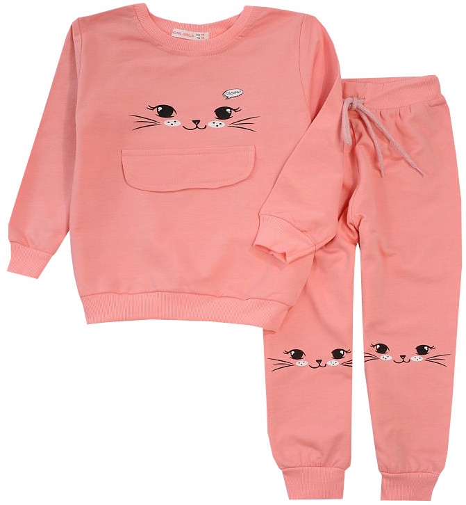 

Dres Komplet Spodnie Bluza kotek róż 140 J625G