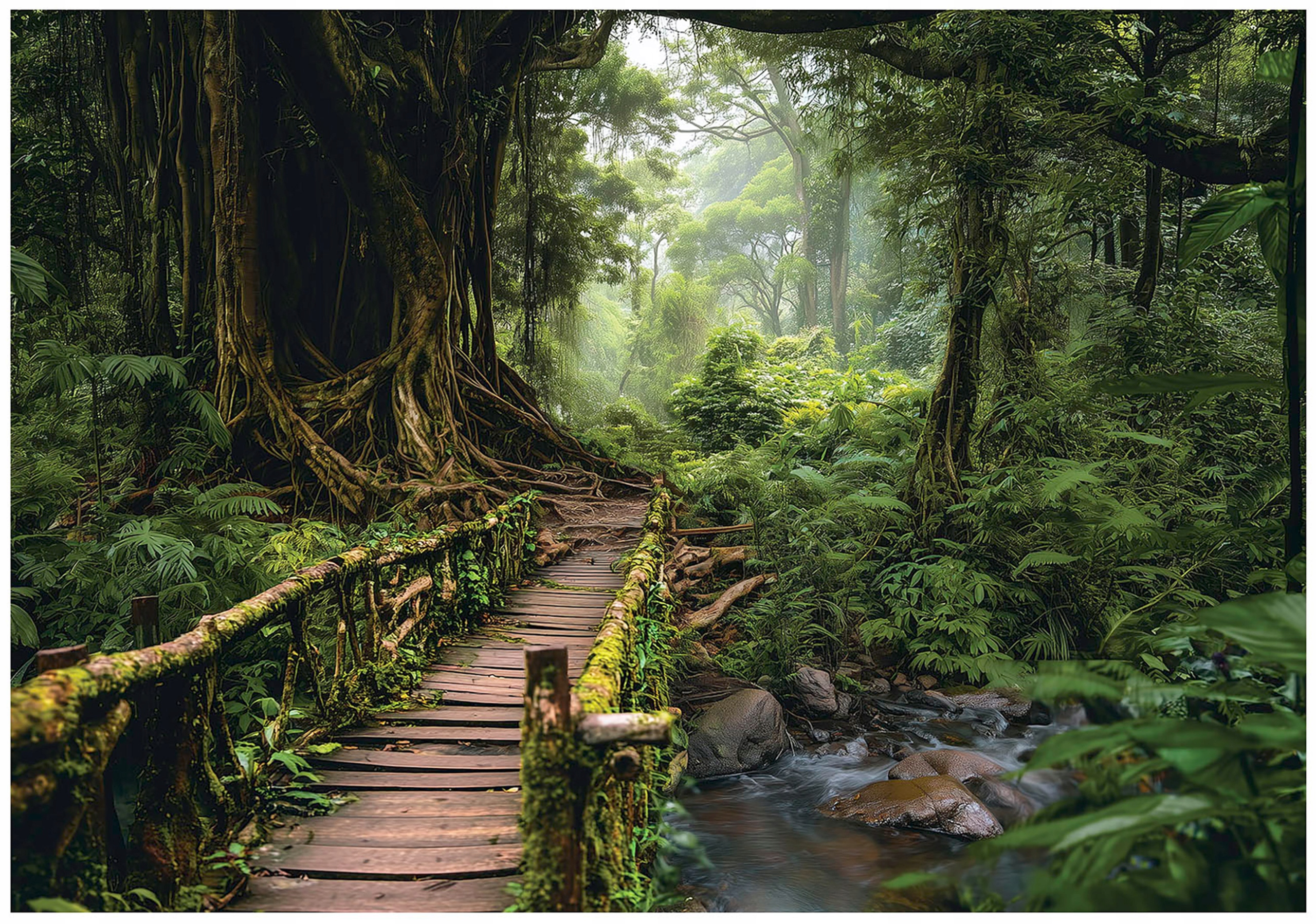 Fototapeta 3D Cesta V Lese Krajina Lesná Krajina Príroda Stromy 350x250