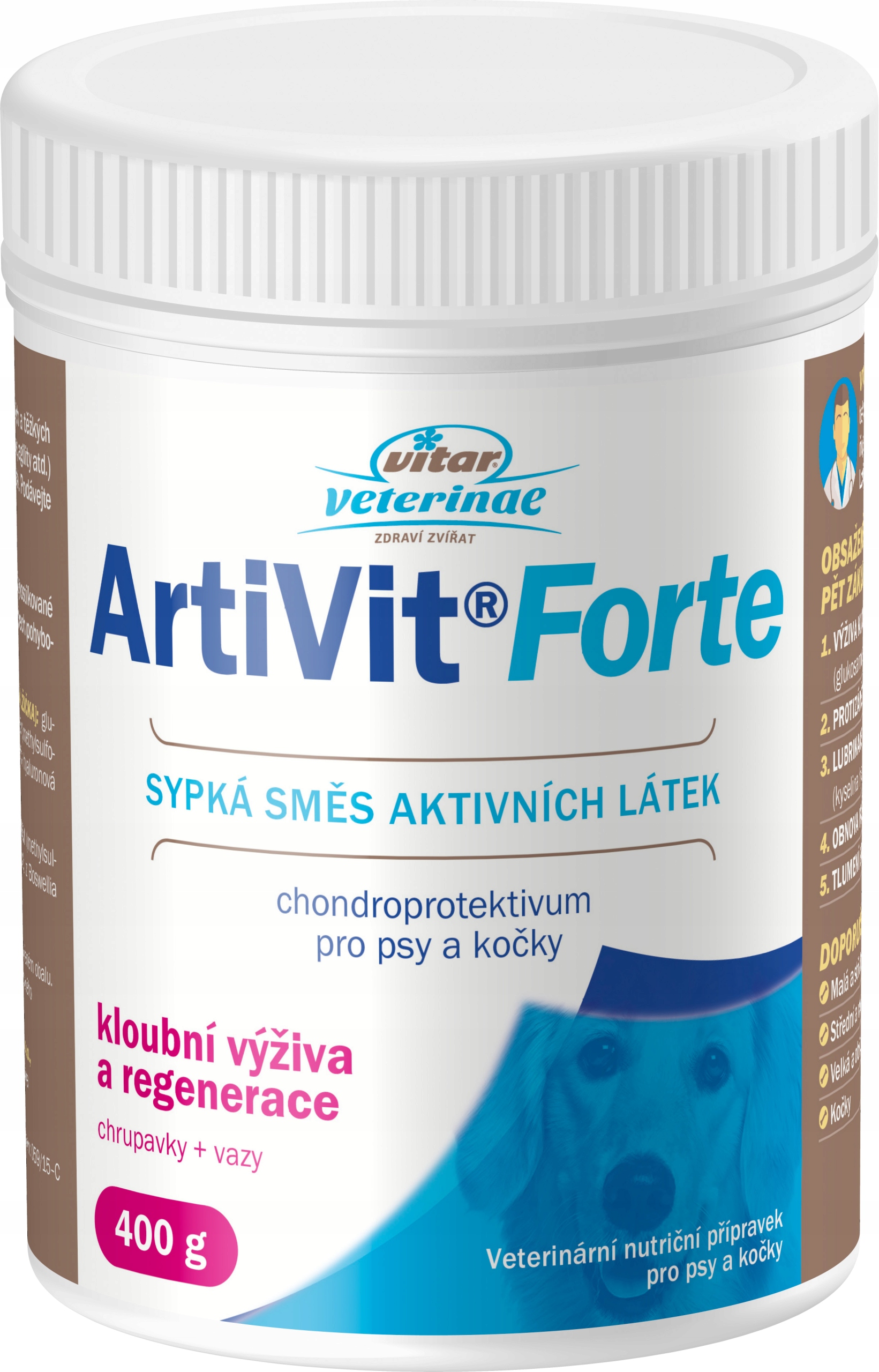Levně ArtiVit Forte 400 g sypká směs