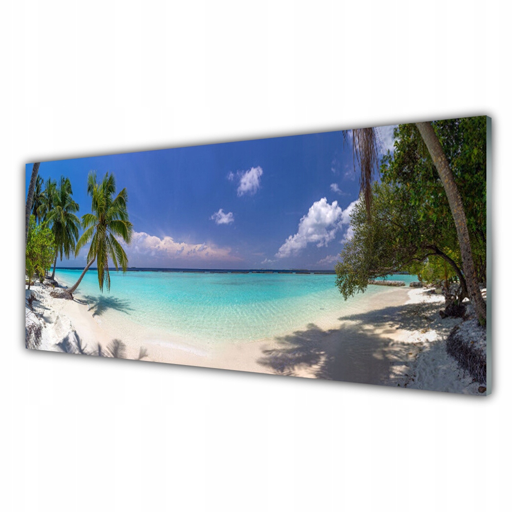 

Obraz wiszący 125x50 Morze Plaża Palma Krajobraz