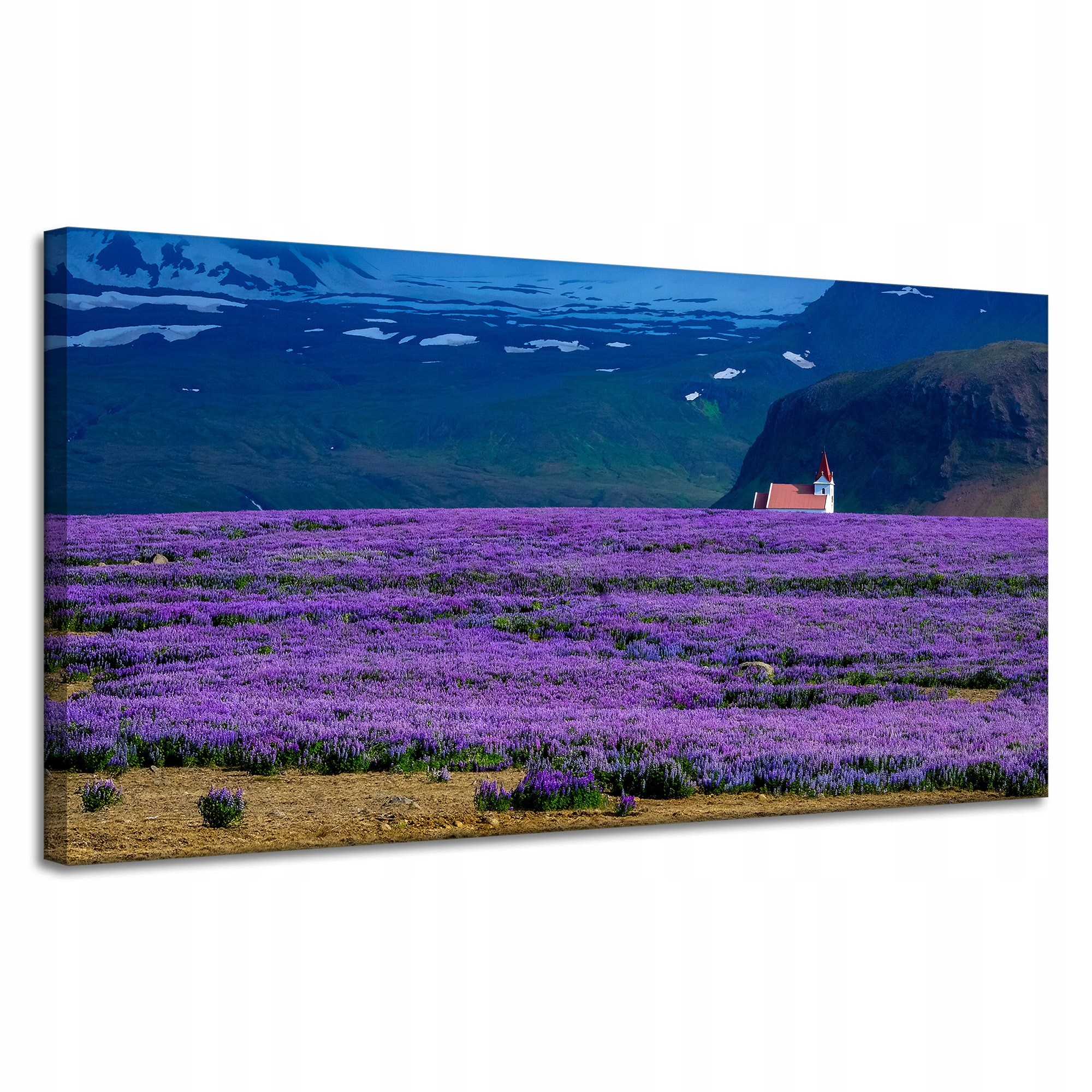 Obraz Canvas Natura Fialové pole levandule 120x60