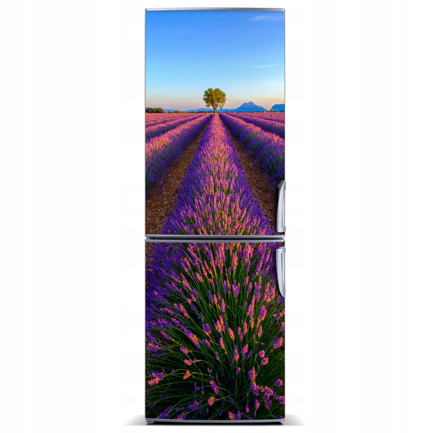 

Magnes na lodówkę magnetyczna Pole lawendy 60x180