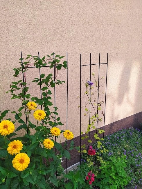 PERGOLA OGRODOWA METALOWA PODPORA DO ROŚLIN RÓŻ KWIATÓW KRATKA ZESTAW 3SZT. Marka Martom