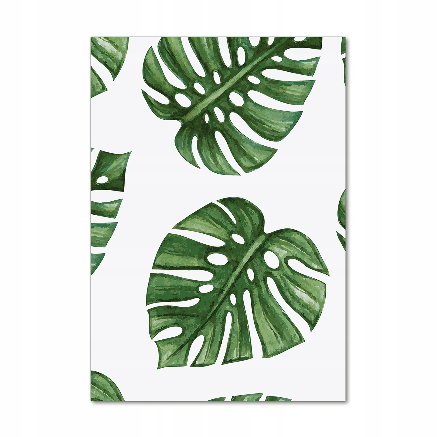 

Foto obraz akrylowy na ścianę Monstera 70x100 cm