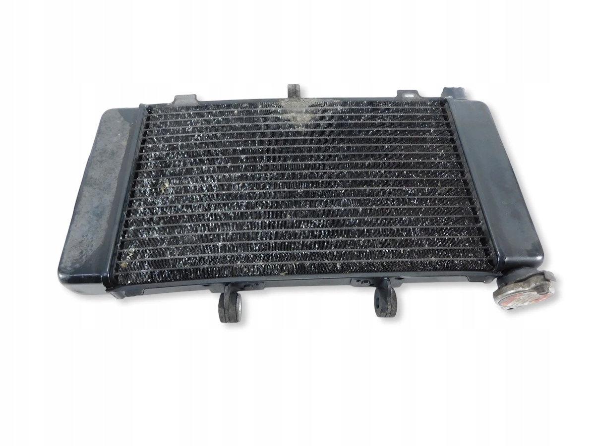 Chladič Vody Predný Yamaha FZ6 600 Fazer 04-09 5VX124610000