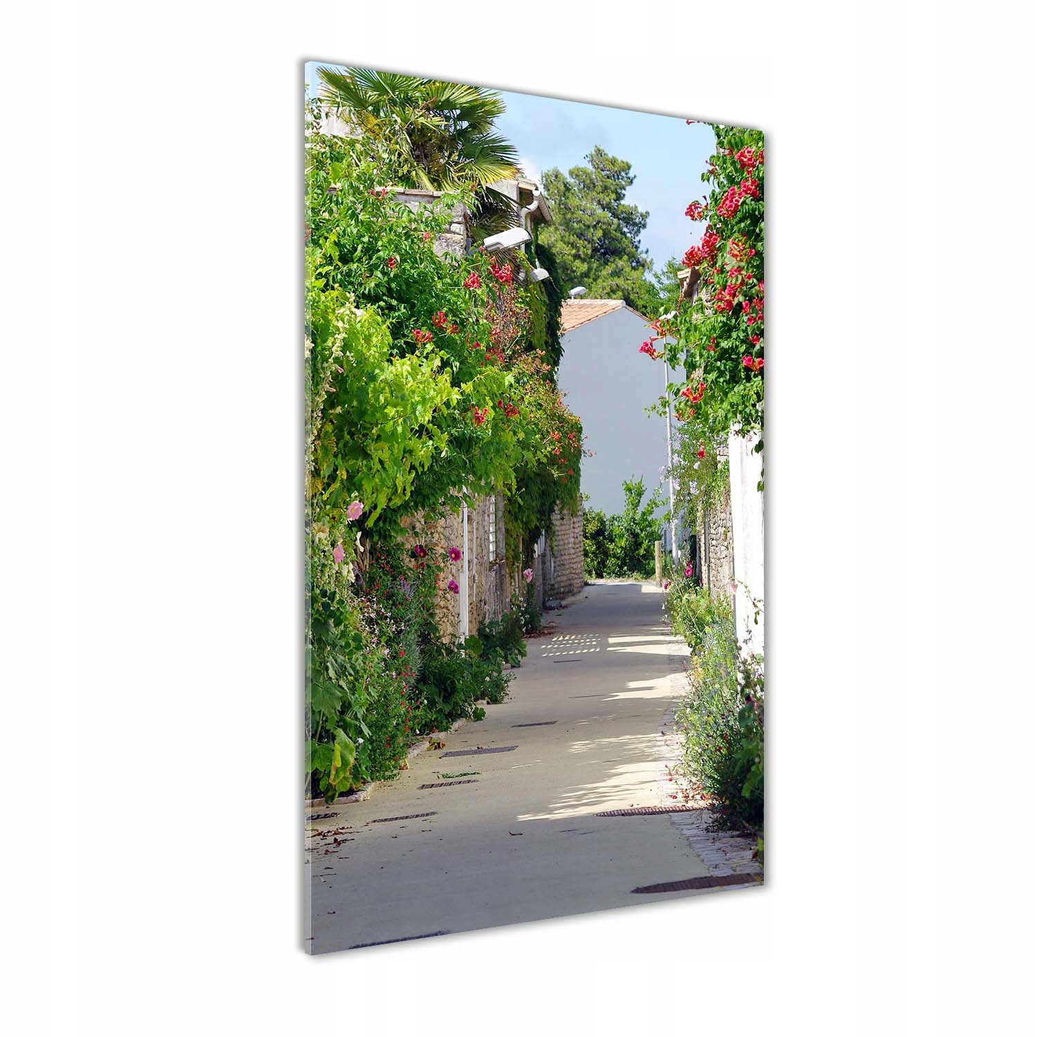 

Foto obraz na szkle Francuskie uliczki 50x100 cm