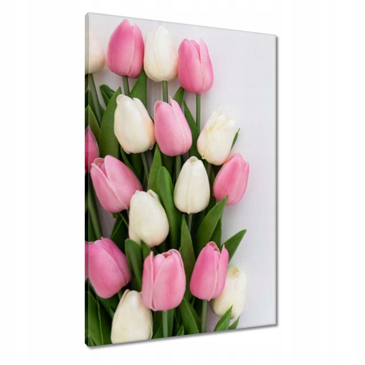 Obrazy 60x90 Jemné tulipány