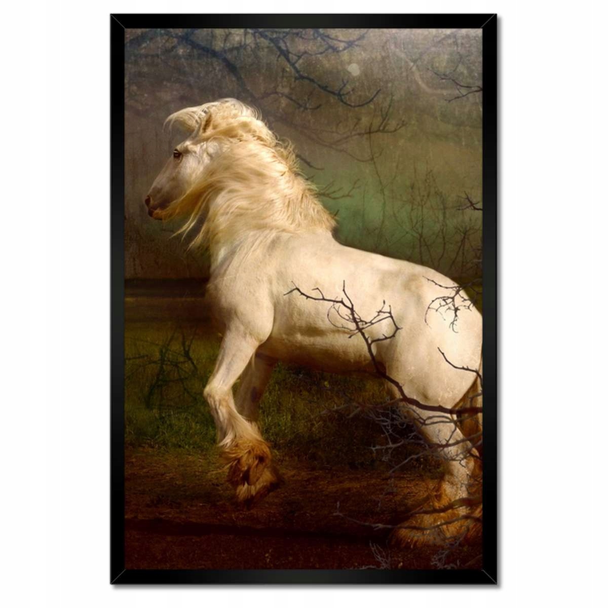 Plakáty v rámu 40x60 Kůň Koně Jezdectví