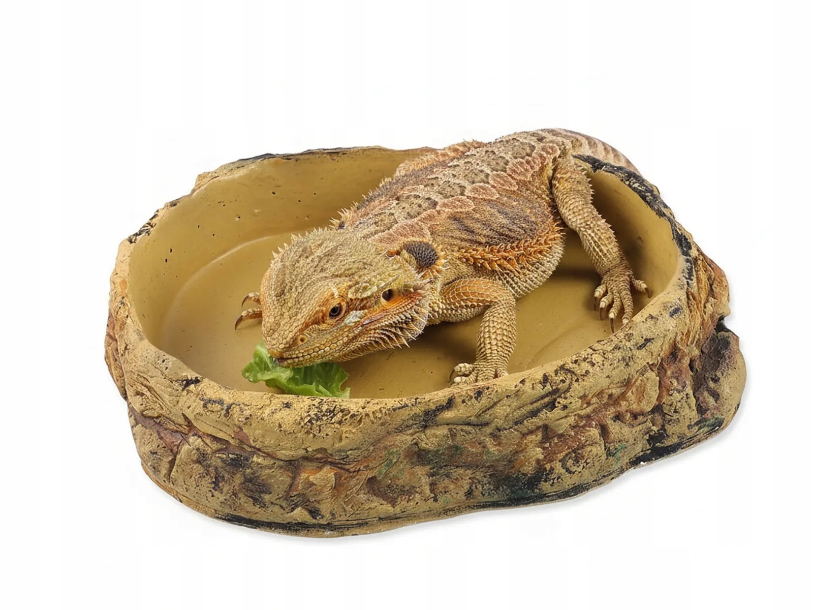 Levně Miska Repti Planet terarijní 26,5x22,5x6cm