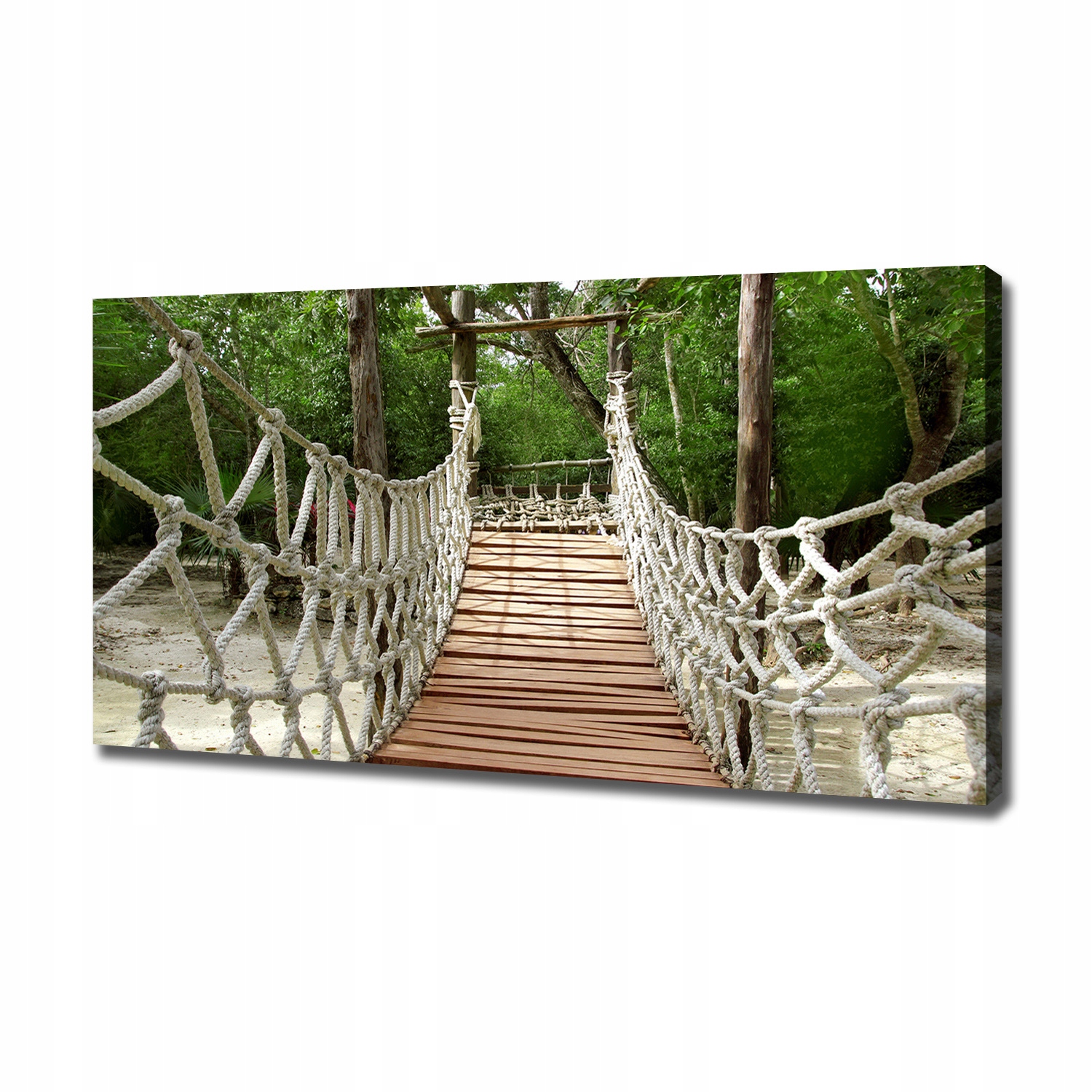 

Foto obraz canvas na ścianę Most linowy 120x60 cm