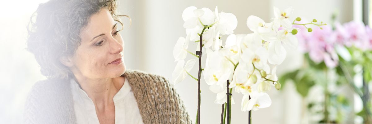 COMPO NAWÓZ ODŻYWKA PŁYN DO STORCZYKÓW ORCHIDEI Waga 0.29 kg