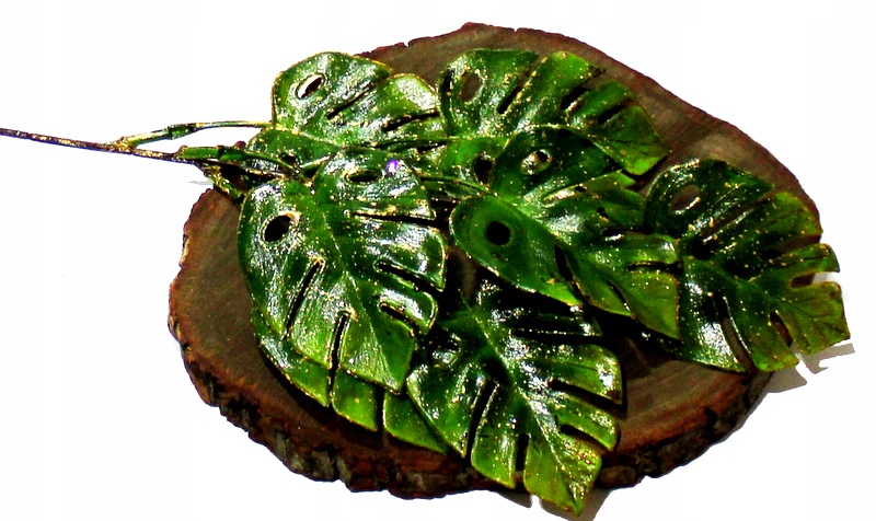 

Monstera Ślicznay Bukiet Liści Ze Złotem 52 cm