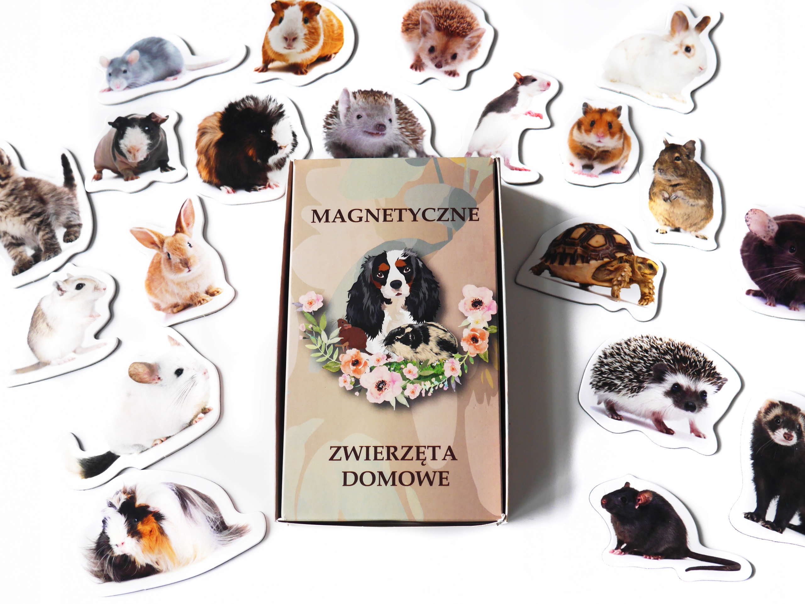 Magnesy na lodówkę poznaję ZWIERZĘTA DOMOWE TEKTURA EAN (GTIN) 5906874185339