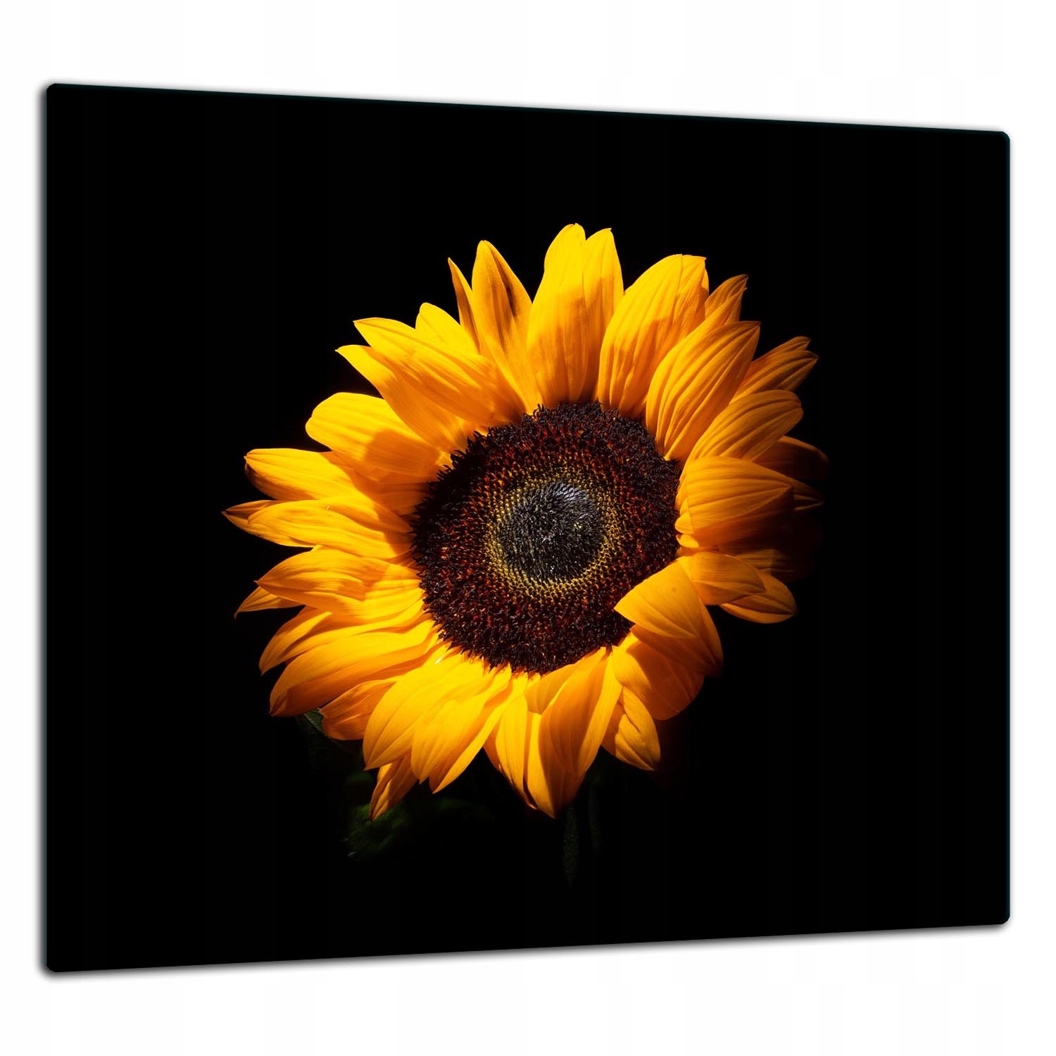 7v1 Skleněná Ochranná Deska Panel Lepidlo 65x60 Květina