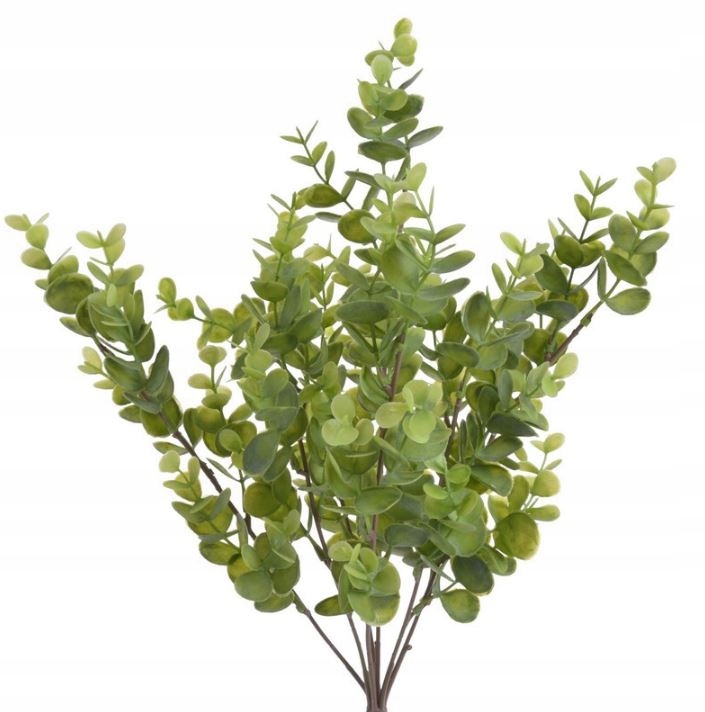 

Eukaliptus sztuczny bukiet Kwiaty gałązka 42 cm