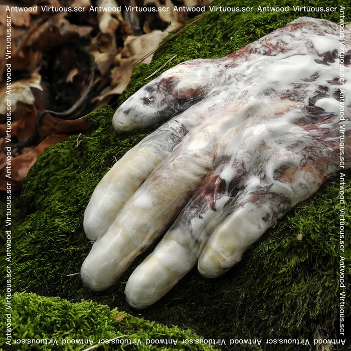 Antwood Virtuous.Scr *CD