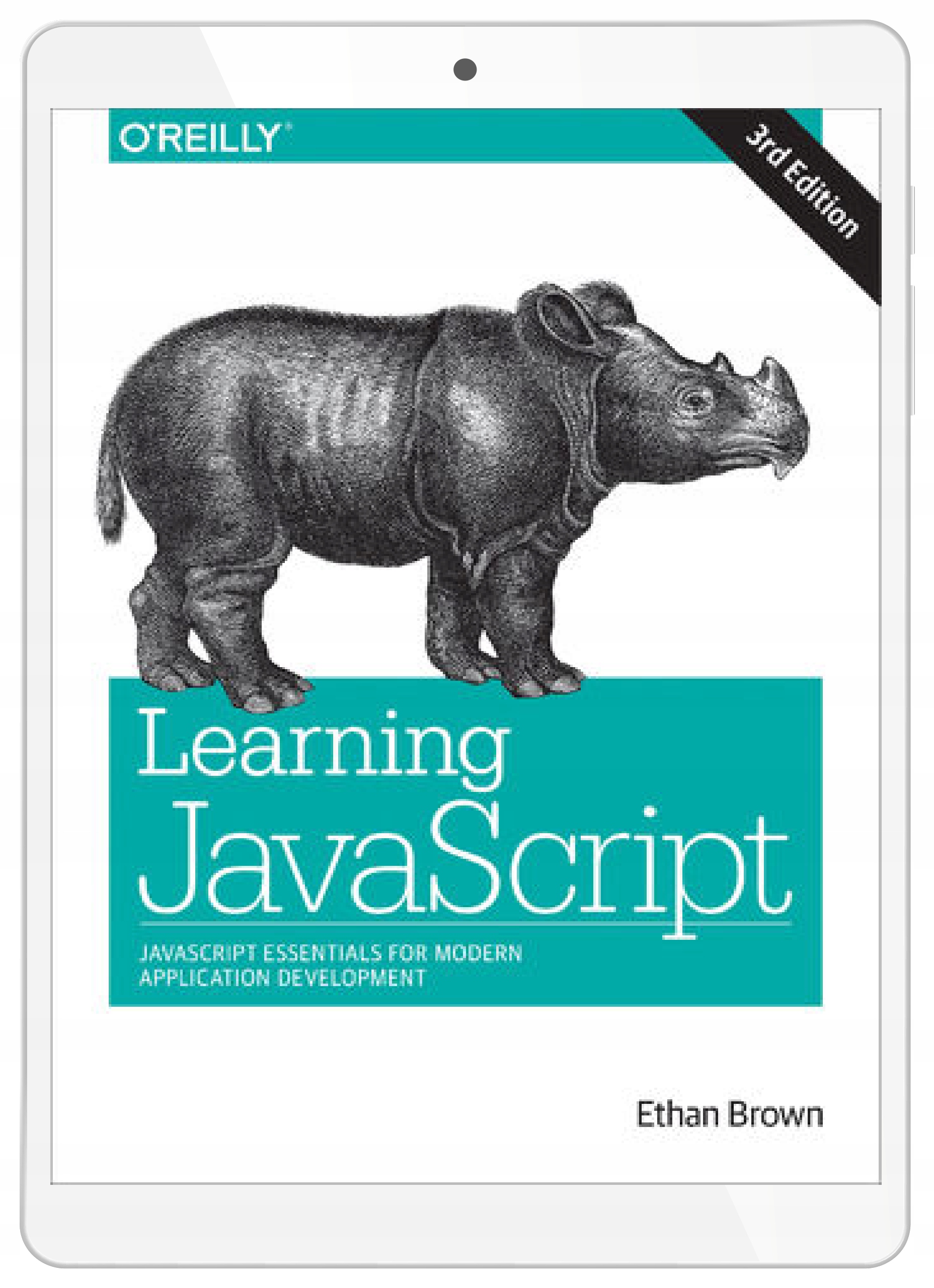Learning JavaScript. JavaScript Essentials for