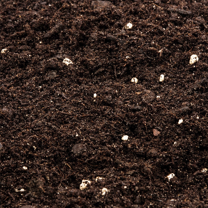 ZIEMIA do roślin zielonych i palm 10L COMPO Marka Compo