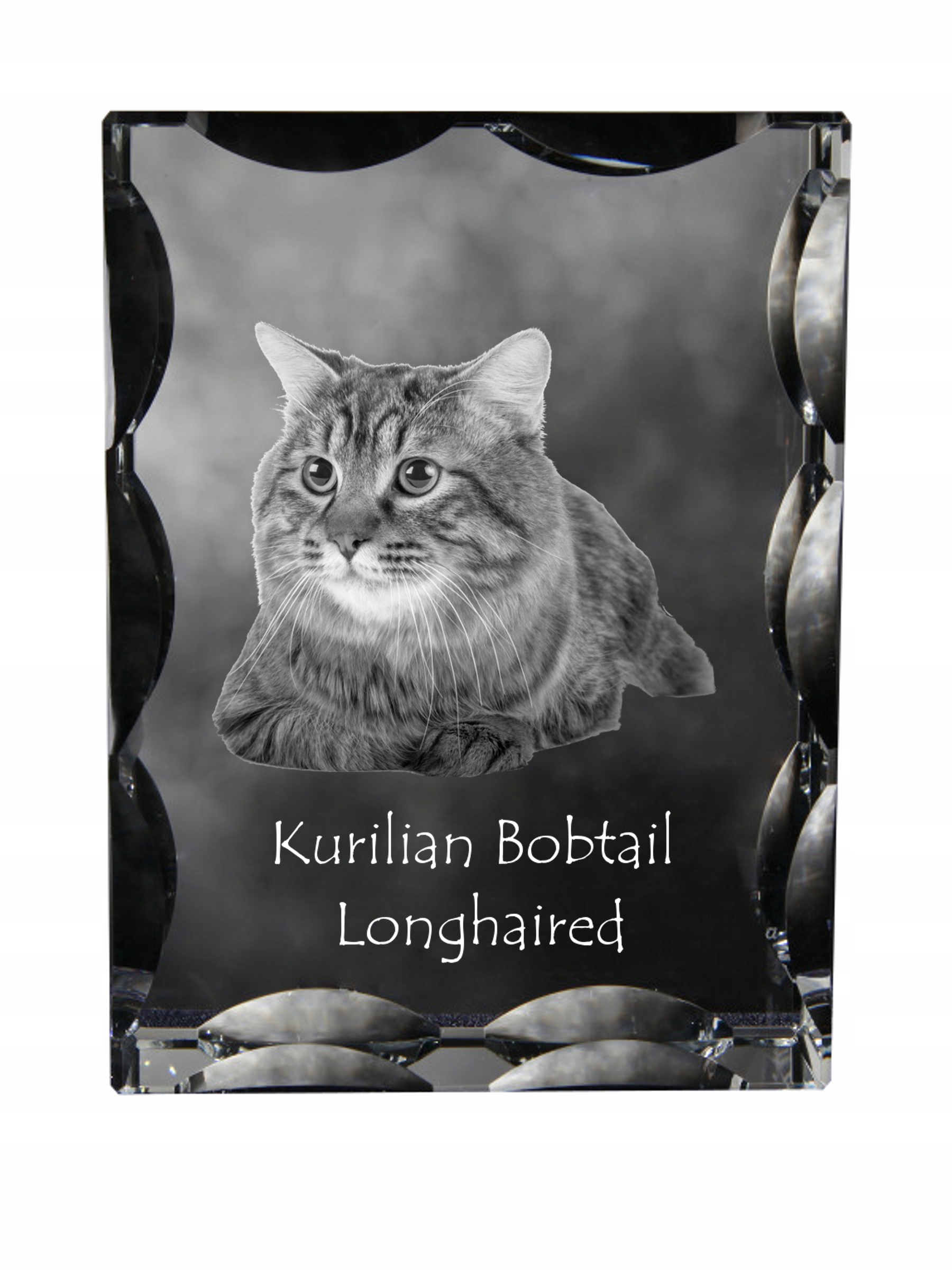 Mačka Kurylski bobtail dlhosrstý foto v ozdobnom kryštáli, suvenír