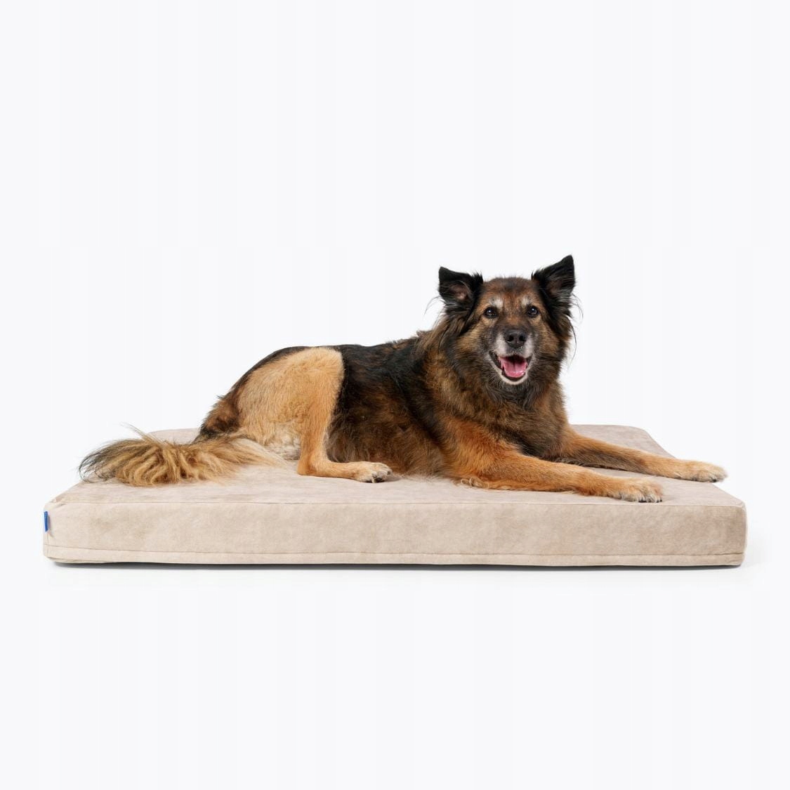 Ortopedická Matrace pro psy Petformed L béžová