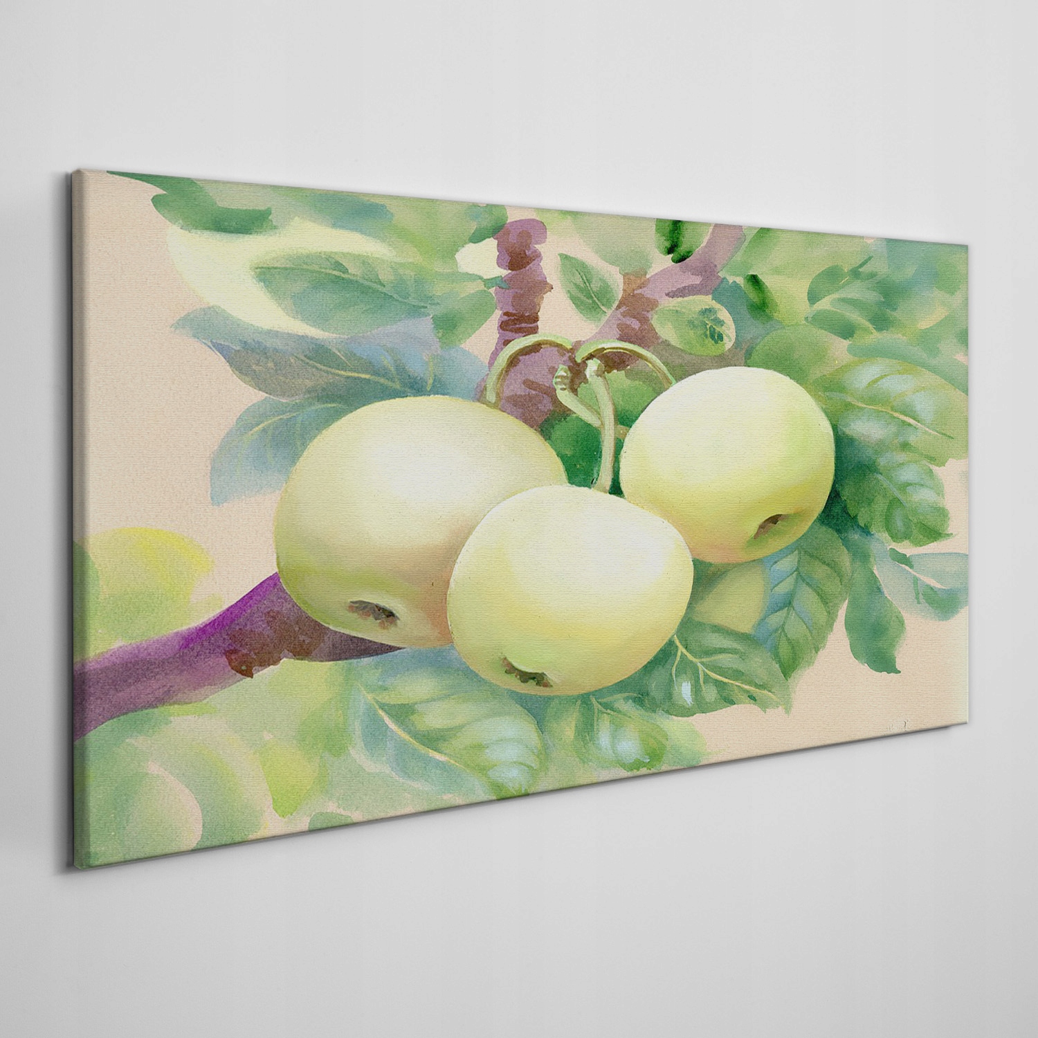 

Ścienny fotoobraz na płótnie Owoce jabłko 140x70
