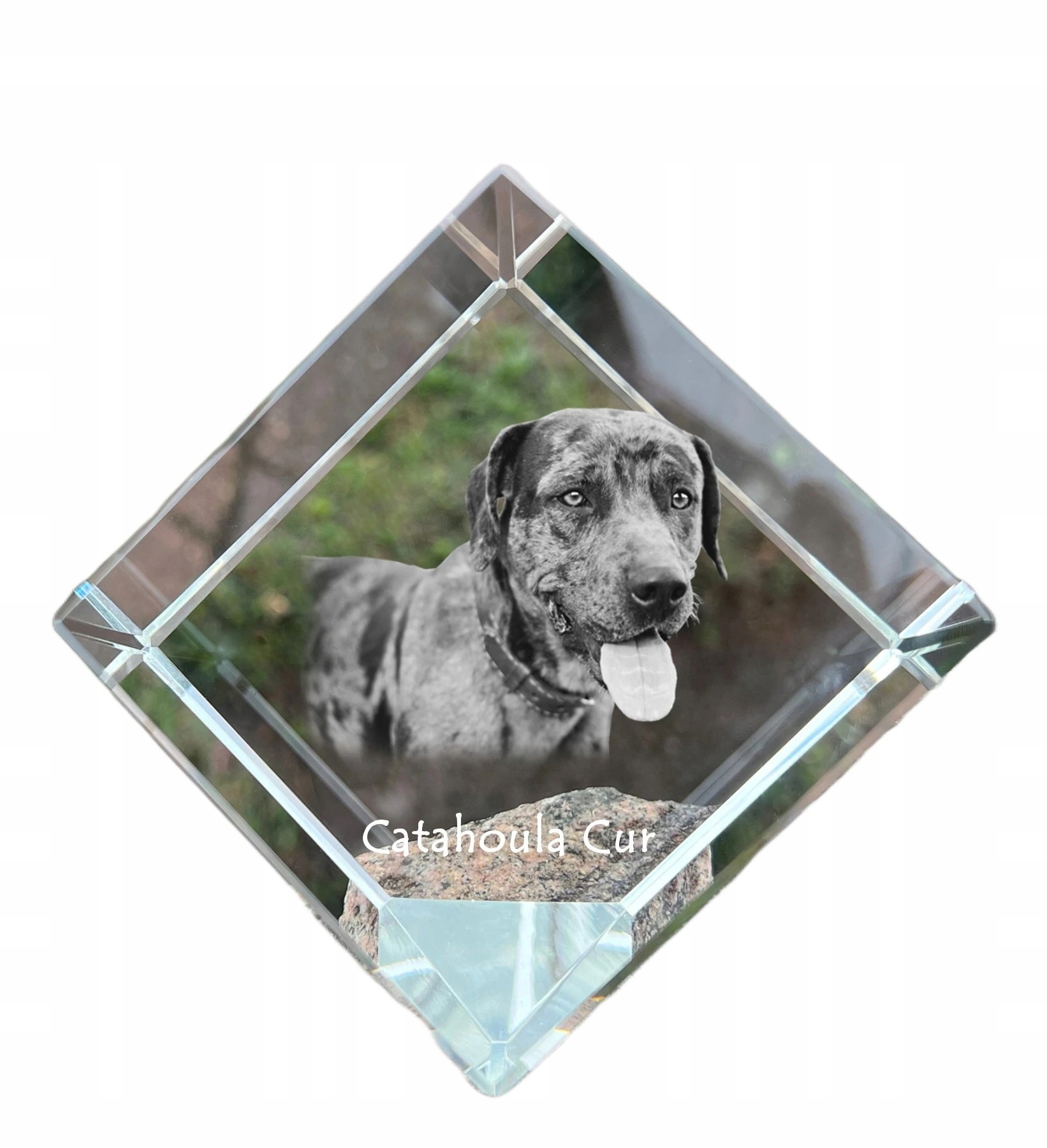 Catahoula Leopard Dog krištáľová kocka s fotografiou psa, ozdoba na stôl