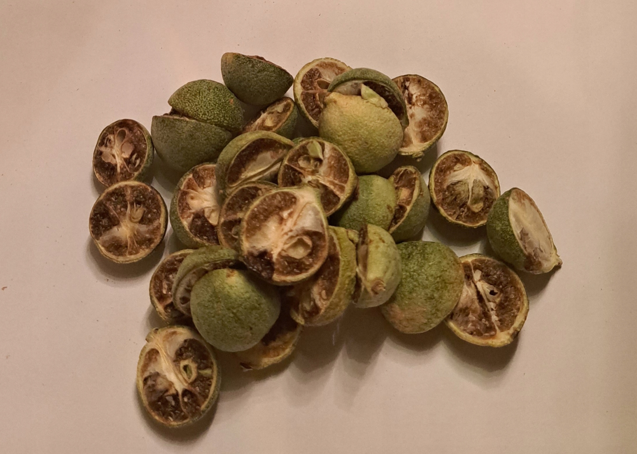 Levně kumquat lyofilizovaný plod 1 kg Rafex