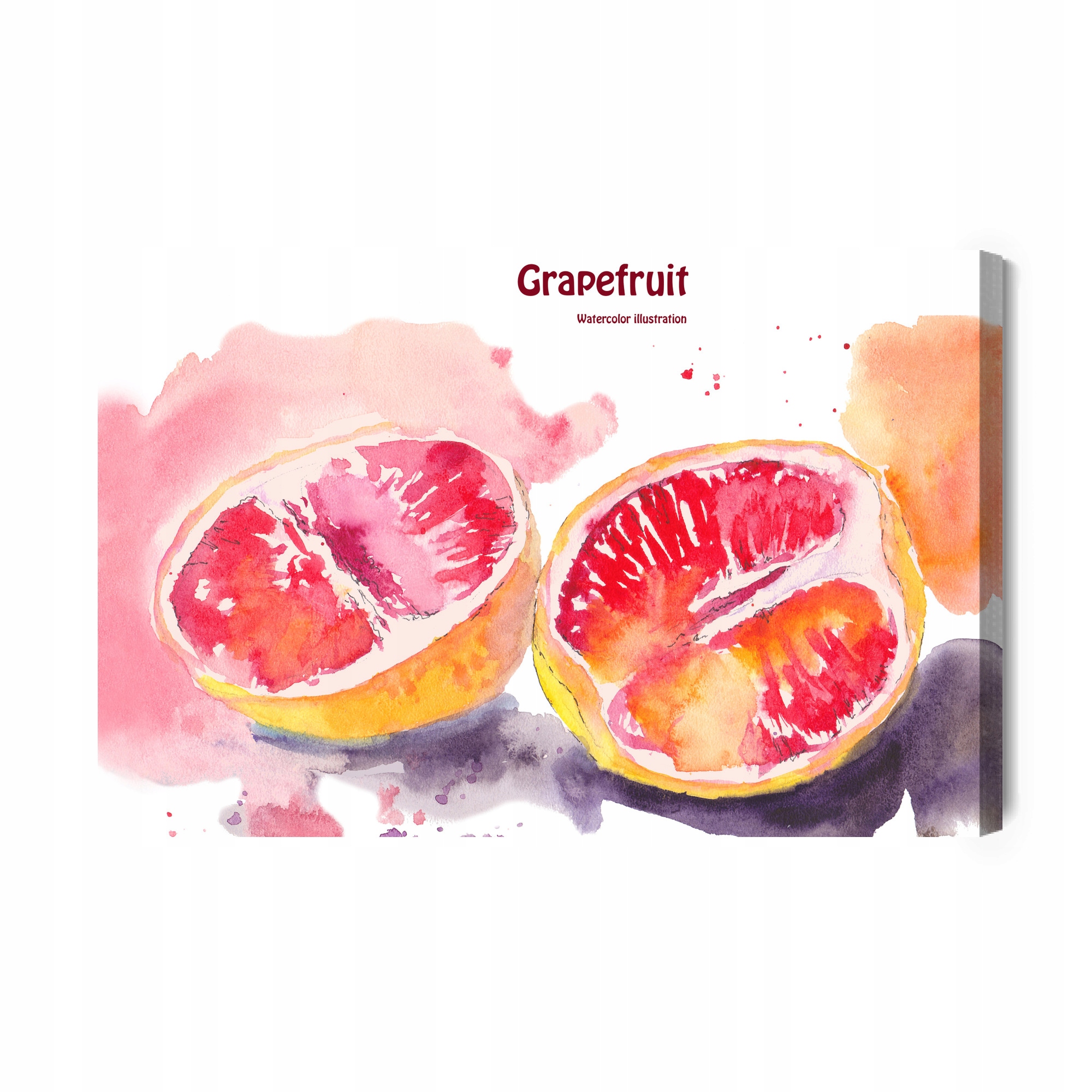 Obraz Na Plátně Grapefruit malovaný akvarelem Canvas 70x50