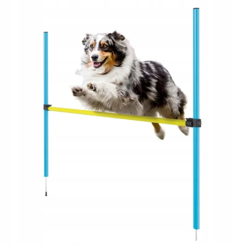 Zoofari Sada Pro Trénink Agility Pro Psy Překážka Trénink Pro Psa