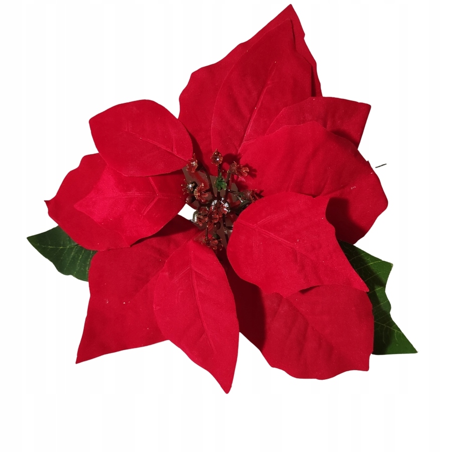 

Poisencja welurowa gwiazda betlejemska spinka 2szt