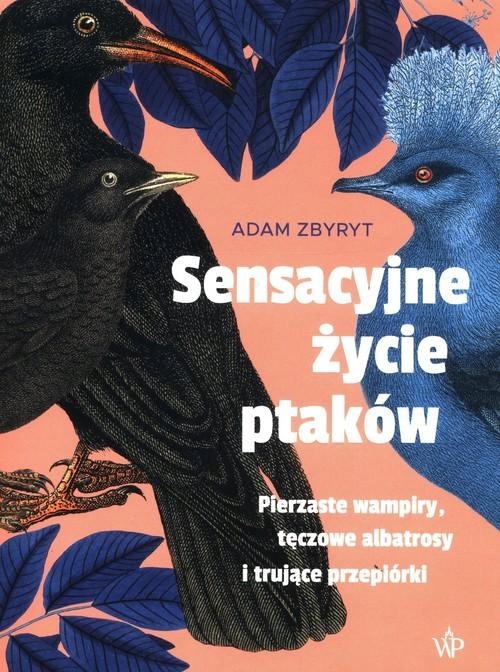 SENSACYJNE ŻYCIE PTAKÓW, ZBYRYT ADAM