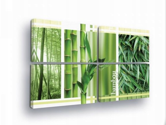 Obraz 120x80 Bambus príroda zelená les sviežosť pokoj harmónia