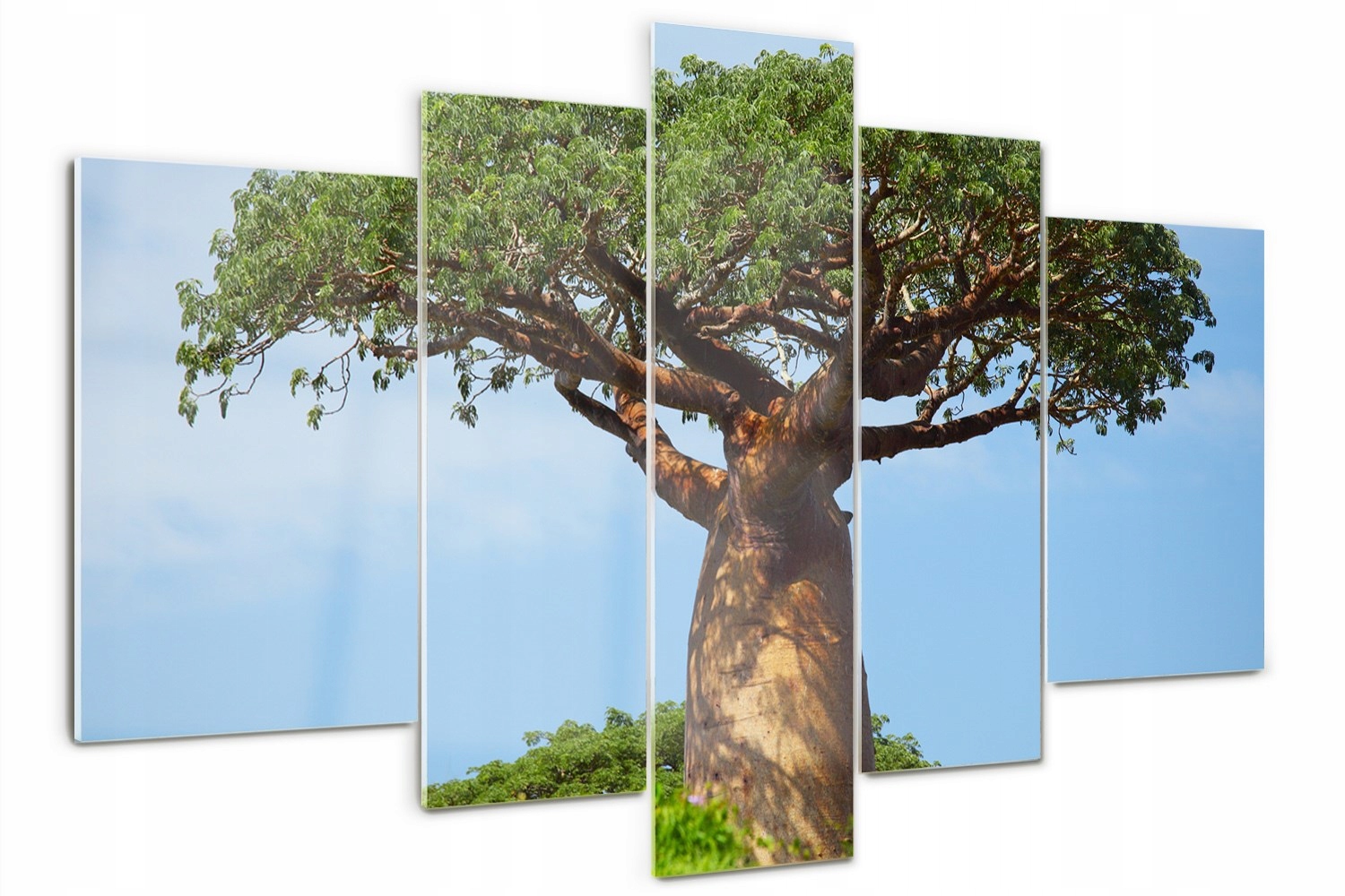 

Foto Obraz szklany tryptyk nowoczesny Baobab
