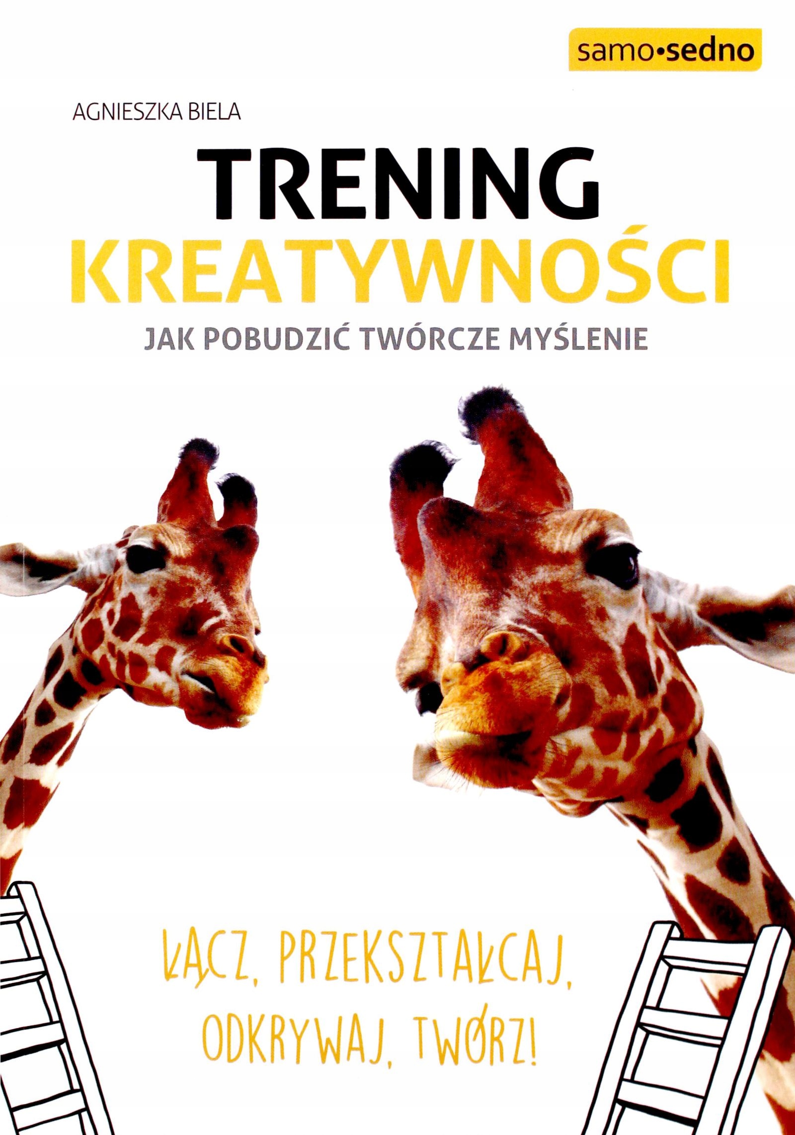 Trening Kreatywności Jak Pobudzić Twórcze Myślenie