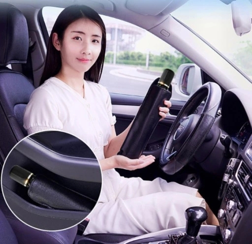 OSŁONA PRZECIWSŁONECZNA DO SAMOCHODU PARASOL PS EAN (GTIN) 0616376508073