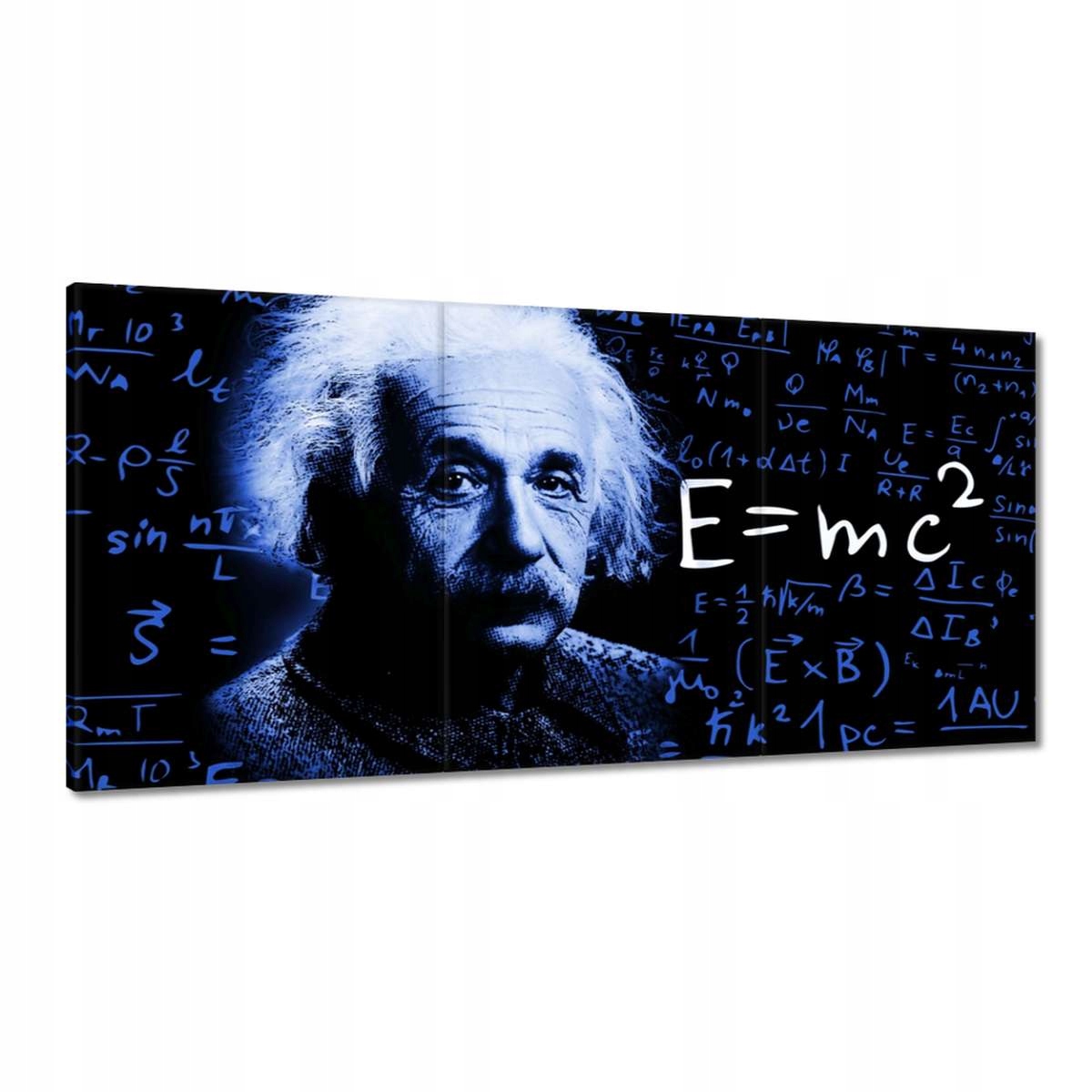 Obrazy 180x90 Einstein Classic Blue
