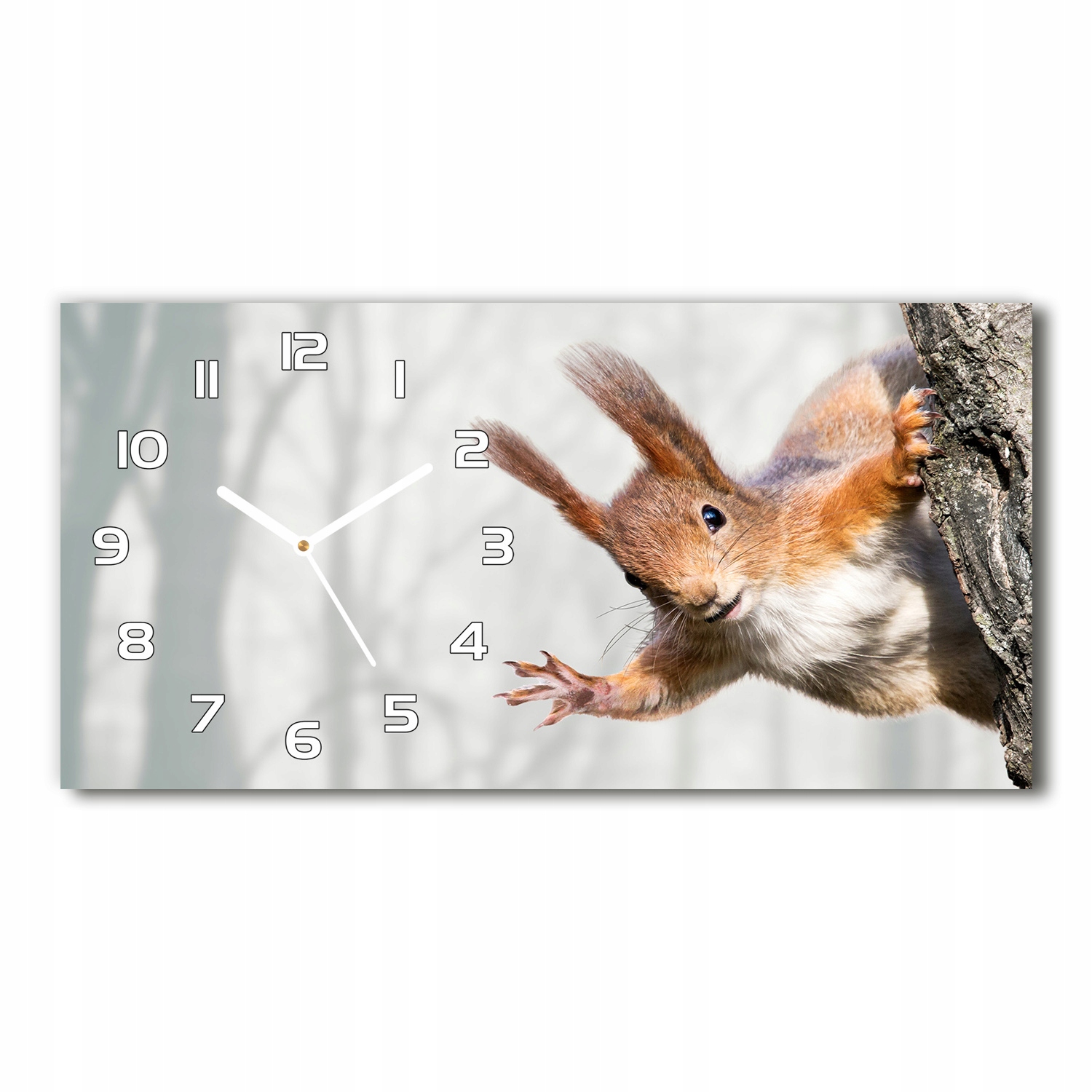 

Nowoczesny zegar ścienny, szklany Wiewiórka 60x30