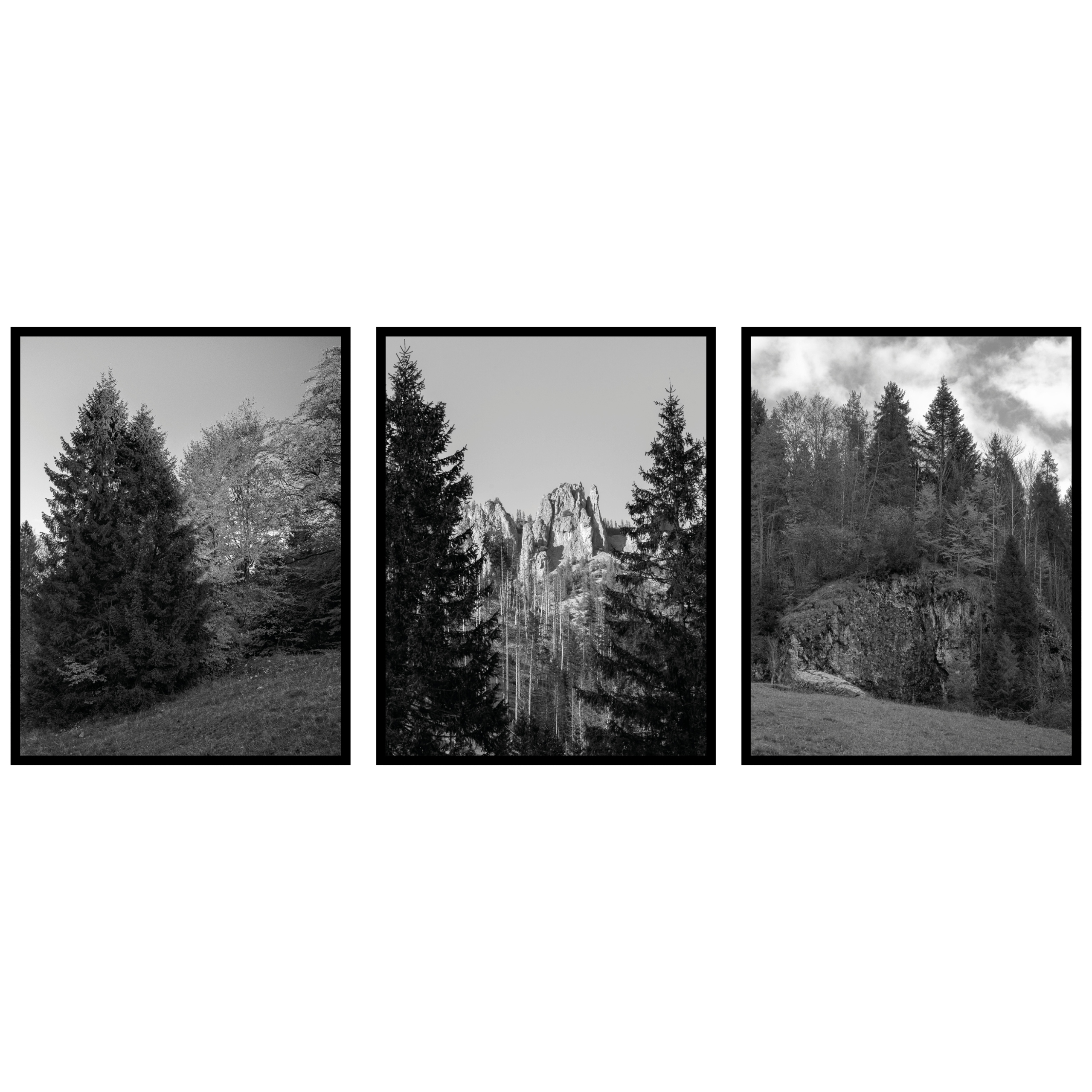 Stromy les Plagáty 3ks 70x100cm Horská krajina triptych panoráma fotografie