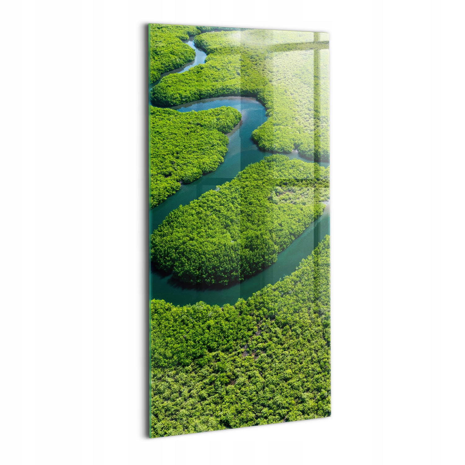 Nástěnný obraz na sklo do ložnice Řeka Amazonka a stromy 60x120